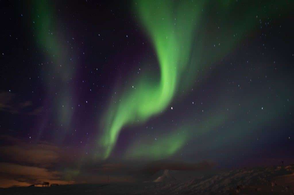 Script for the Pilgrimage